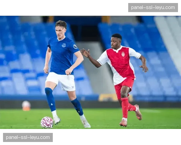 布伦特福德2-2战平埃弗顿，保级关键一分